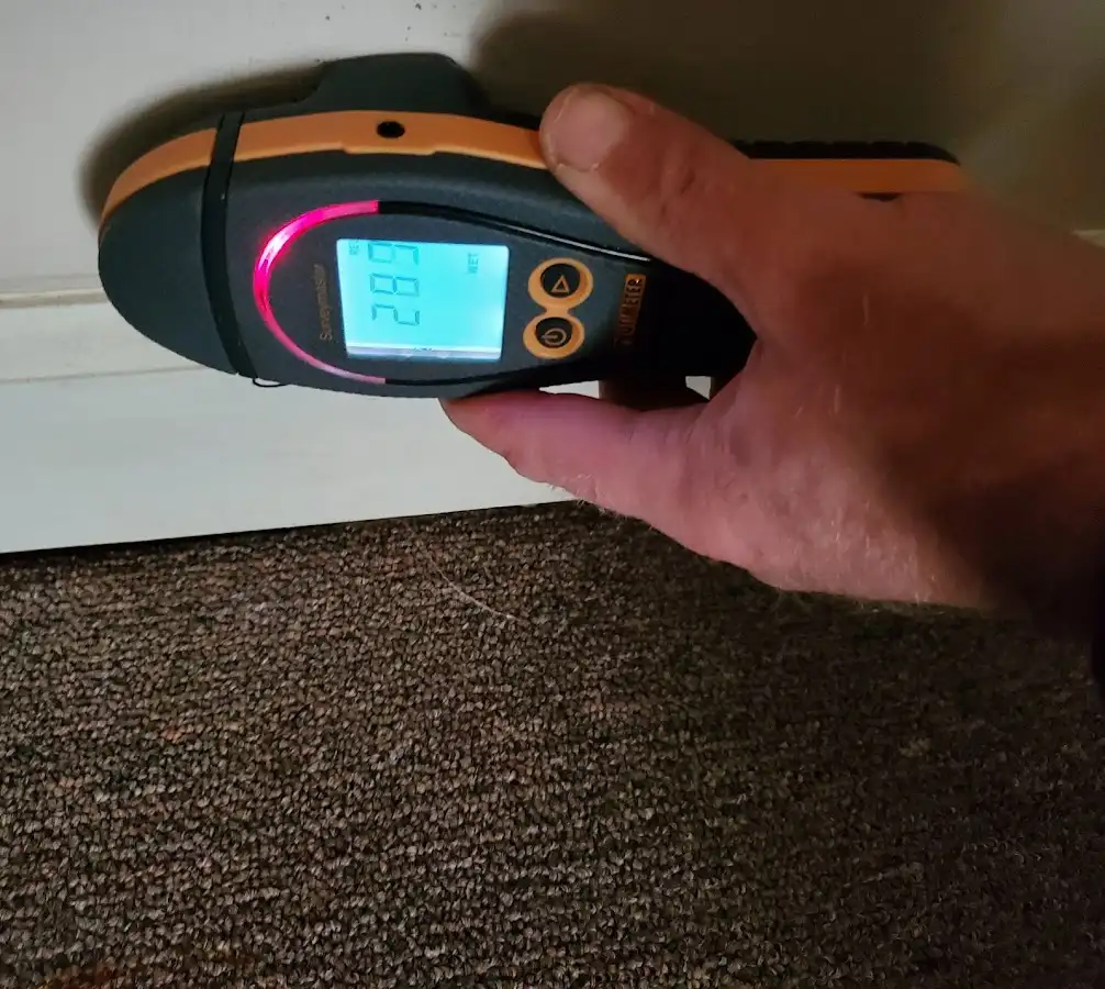 Moisture detection at baseboard during Mold Inspection & Testing in Corinth